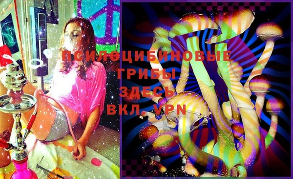 ПСИЛОЦИБИНОВЫЕ ГРИБЫ Карпинск