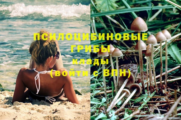 винт Касимов